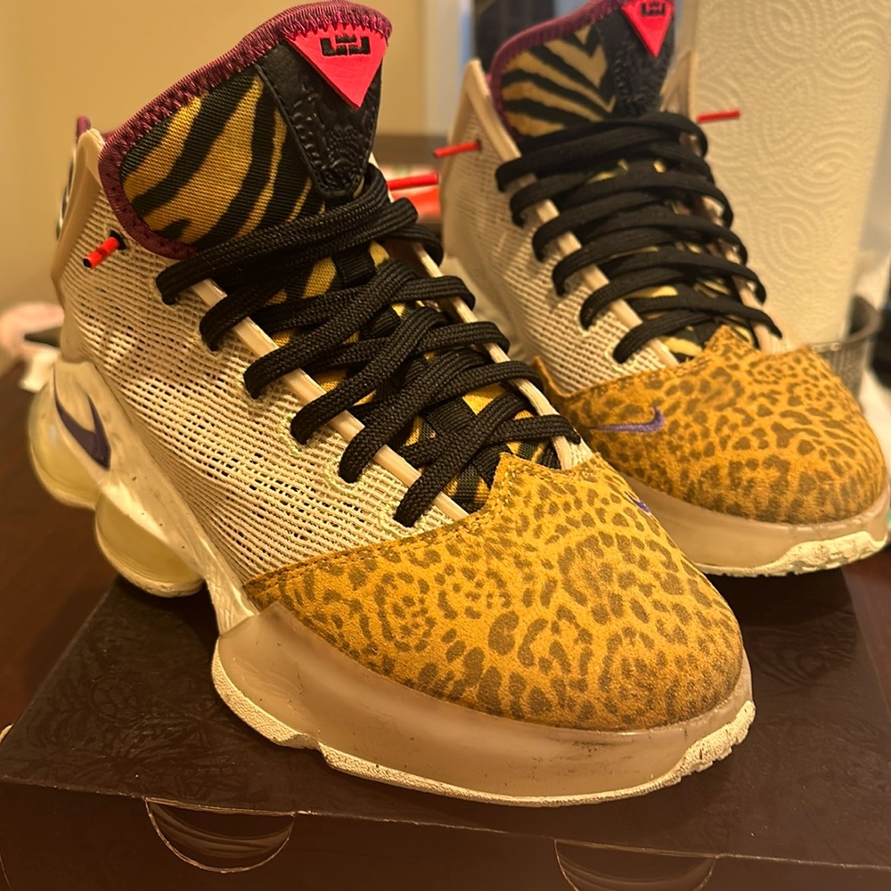 Men’s Lebron XIX Low